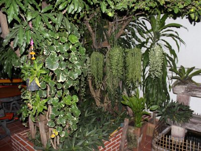 Thong And Da's Home Bangkok - December 07, 2013